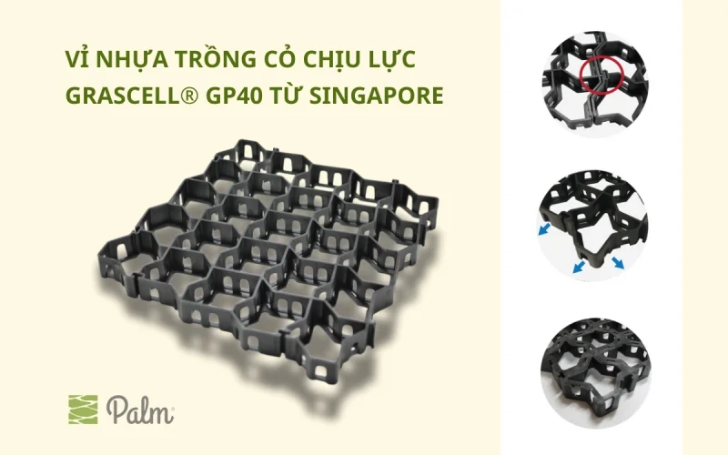 Vỉ Trồng Cỏ Chịu Lực | Tất Tần Tật Về Lợi Ích, Ứng Dụng Và Cách Lắp Đặt